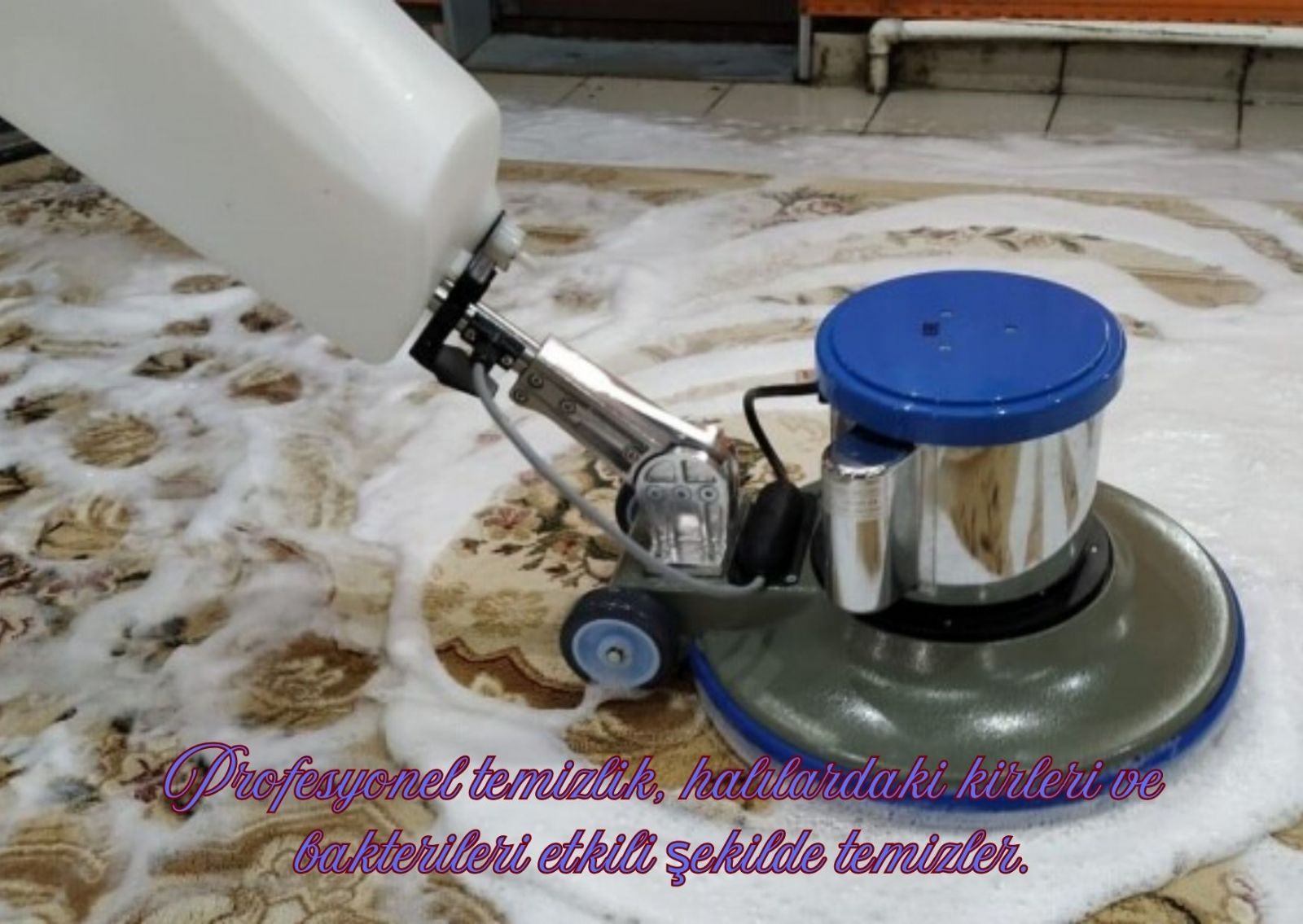 Kozan Profesyonel Halı Yıkama